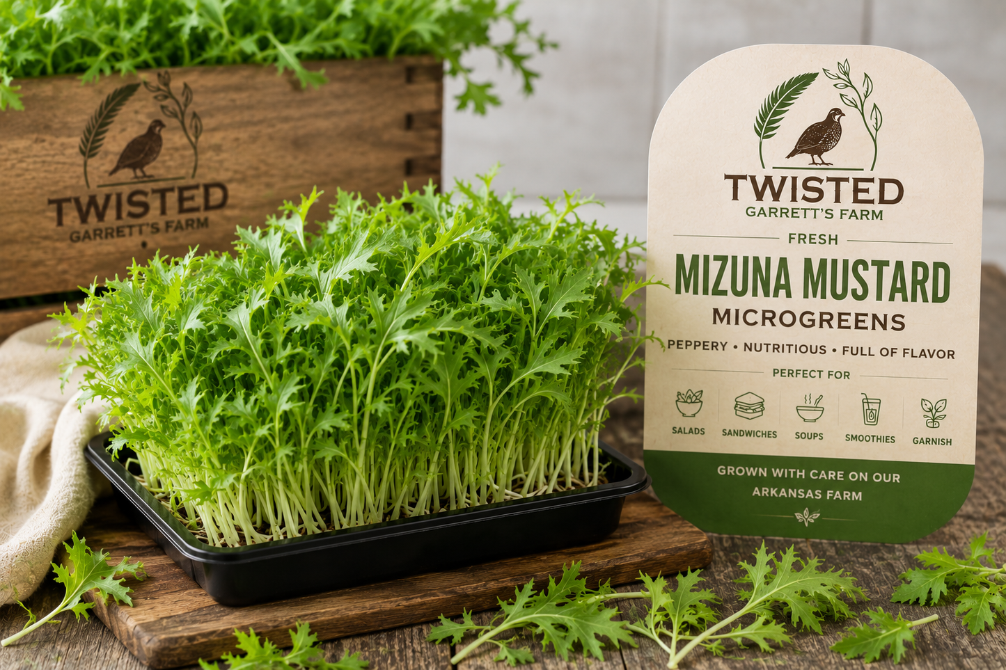 Fresh Mizuna Mustard Microgreens
