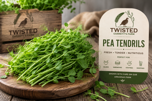 Fresh Pea Tendrils